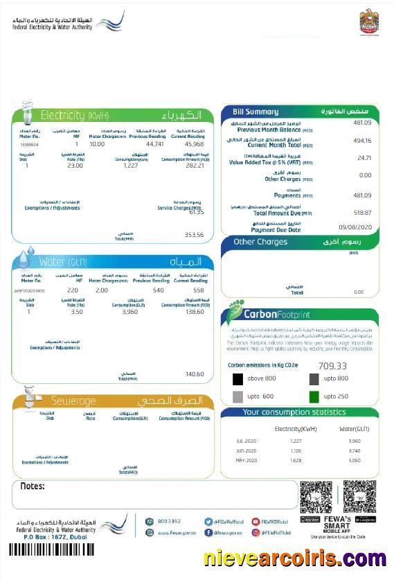 UAE DUBAI FEDERAL ELECTRICITY & WATER AUTHORITY utility bill